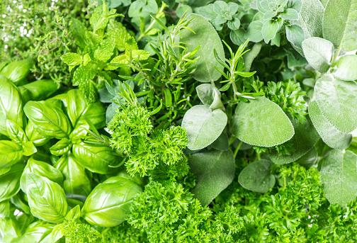 Fresh Herbs Market Growth with Share, Demand, Regional Overview,...